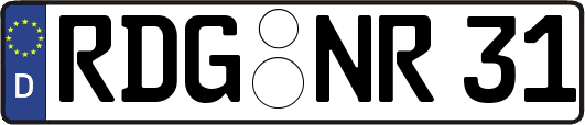 RDG-NR31