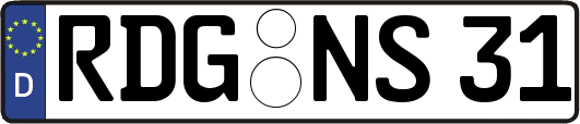 RDG-NS31