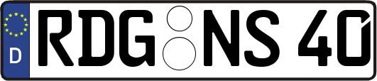 RDG-NS40