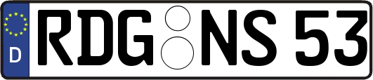 RDG-NS53