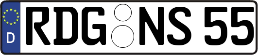 RDG-NS55