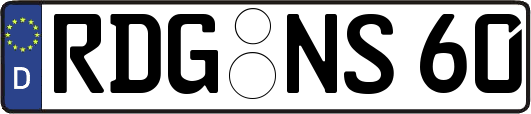 RDG-NS60