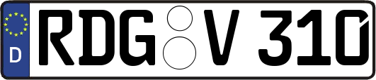 RDG-V310