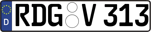 RDG-V313