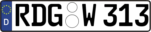 RDG-W313