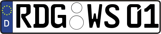 RDG-WS01