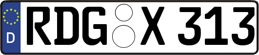 RDG-X313