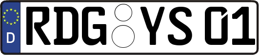 RDG-YS01