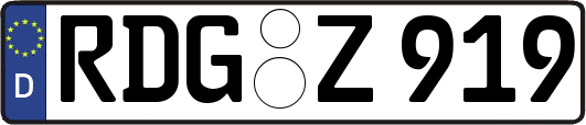 RDG-Z919