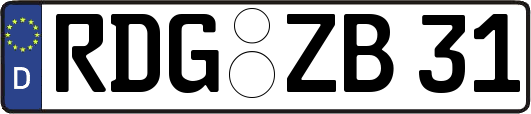 RDG-ZB31