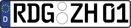 RDG-ZH01