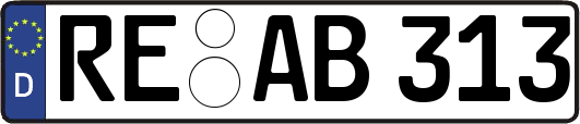 RE-AB313