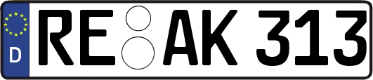 RE-AK313