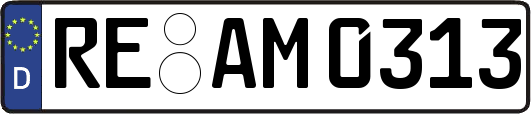 RE-AM0313