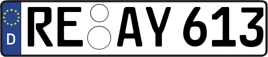 RE-AY613