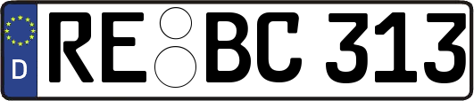 RE-BC313