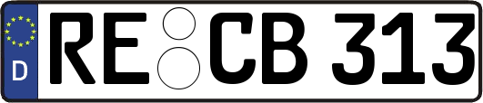 RE-CB313