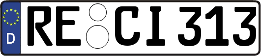 RE-CI313