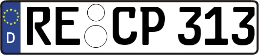 RE-CP313