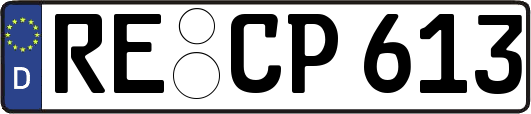 RE-CP613