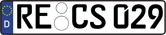 RE-CS029