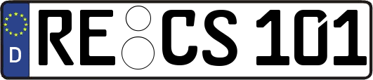 RE-CS101