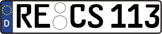 RE-CS113