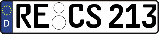 RE-CS213