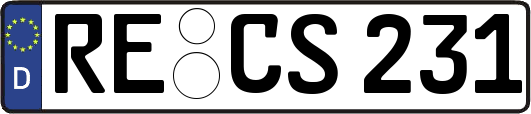 RE-CS231