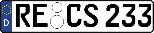 RE-CS233