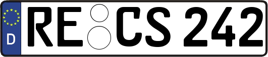 RE-CS242
