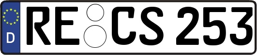 RE-CS253