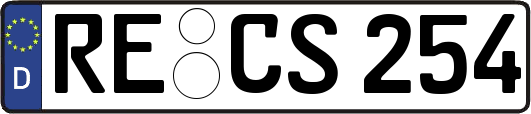 RE-CS254