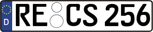 RE-CS256