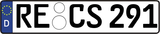 RE-CS291