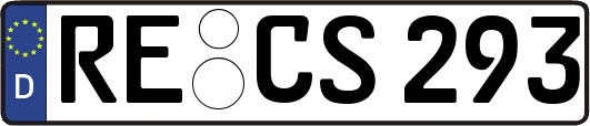 RE-CS293