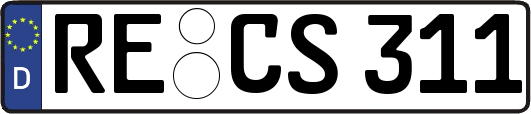 RE-CS311