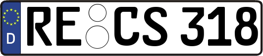RE-CS318