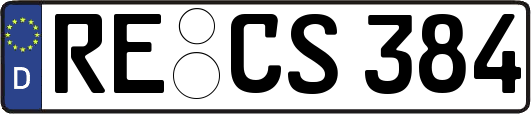 RE-CS384