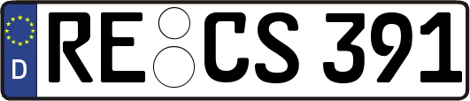 RE-CS391