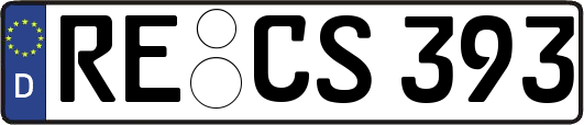 RE-CS393