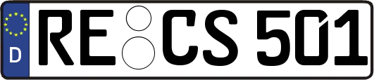 RE-CS501