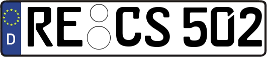 RE-CS502