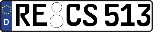 RE-CS513