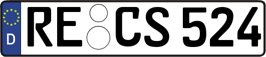 RE-CS524