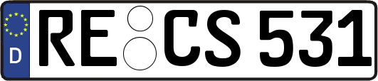 RE-CS531