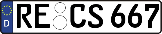 RE-CS667