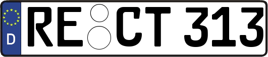 RE-CT313