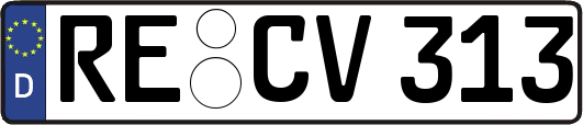 RE-CV313