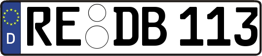 RE-DB113